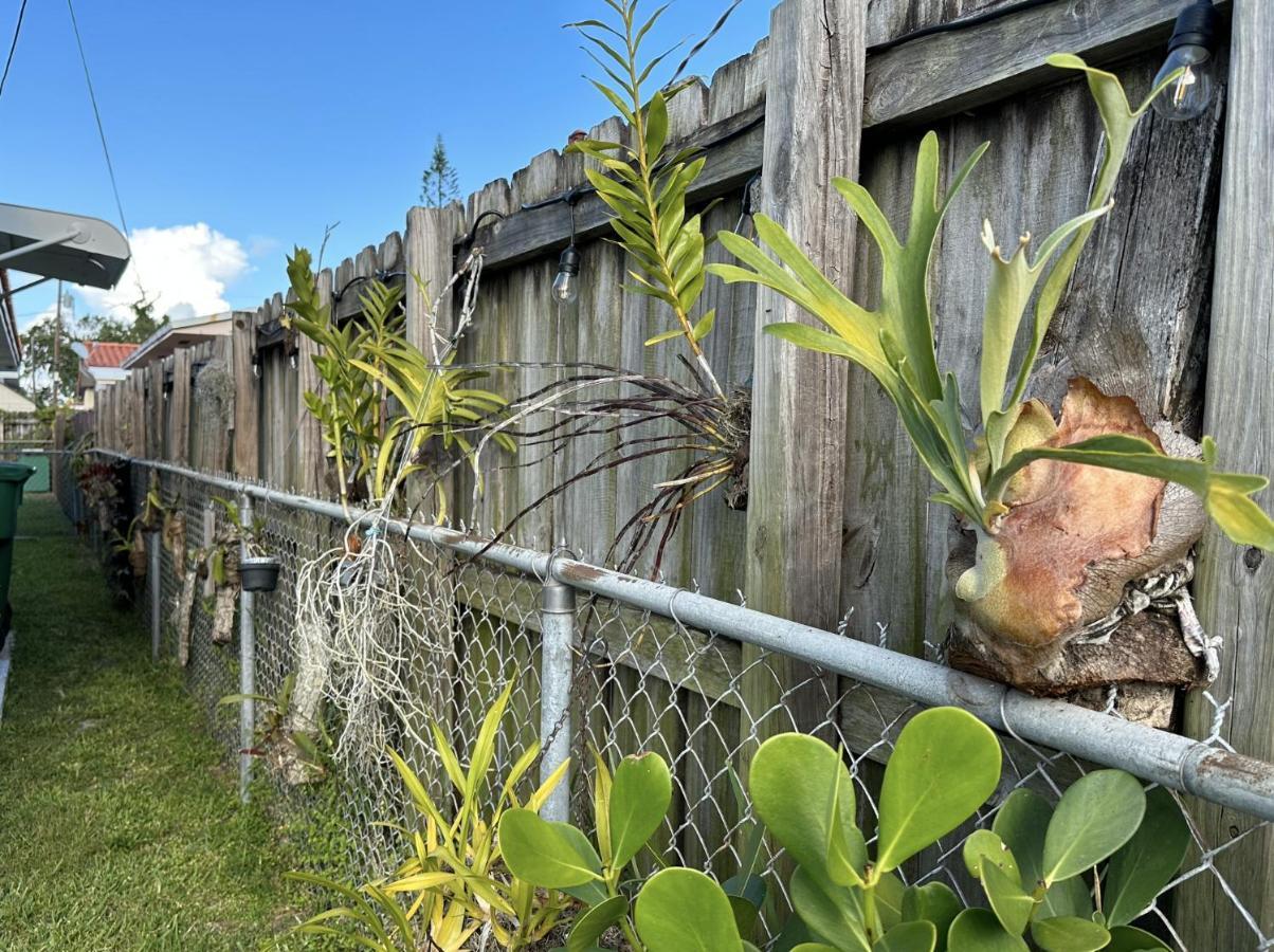 Miami'S Cozy Tropical Getaway 빌라 외부 사진